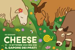IT_visual_cheese_43-1024x768