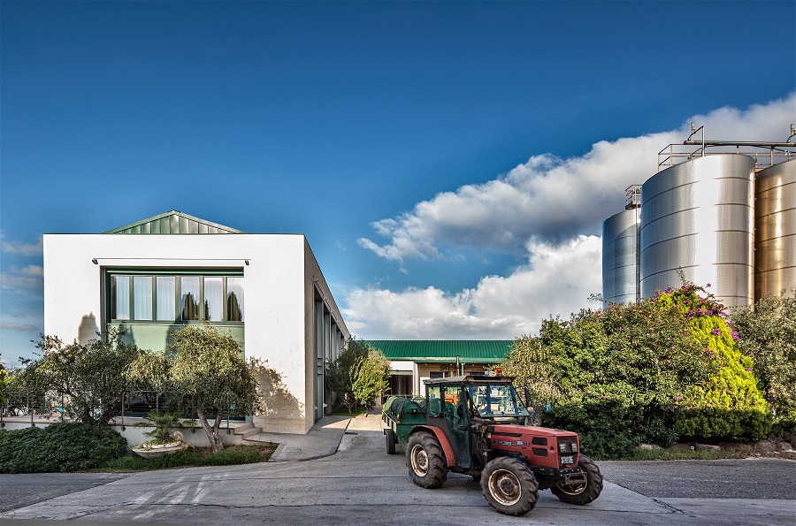 Olio San Giuliano ancora nella Top 10 al mondo