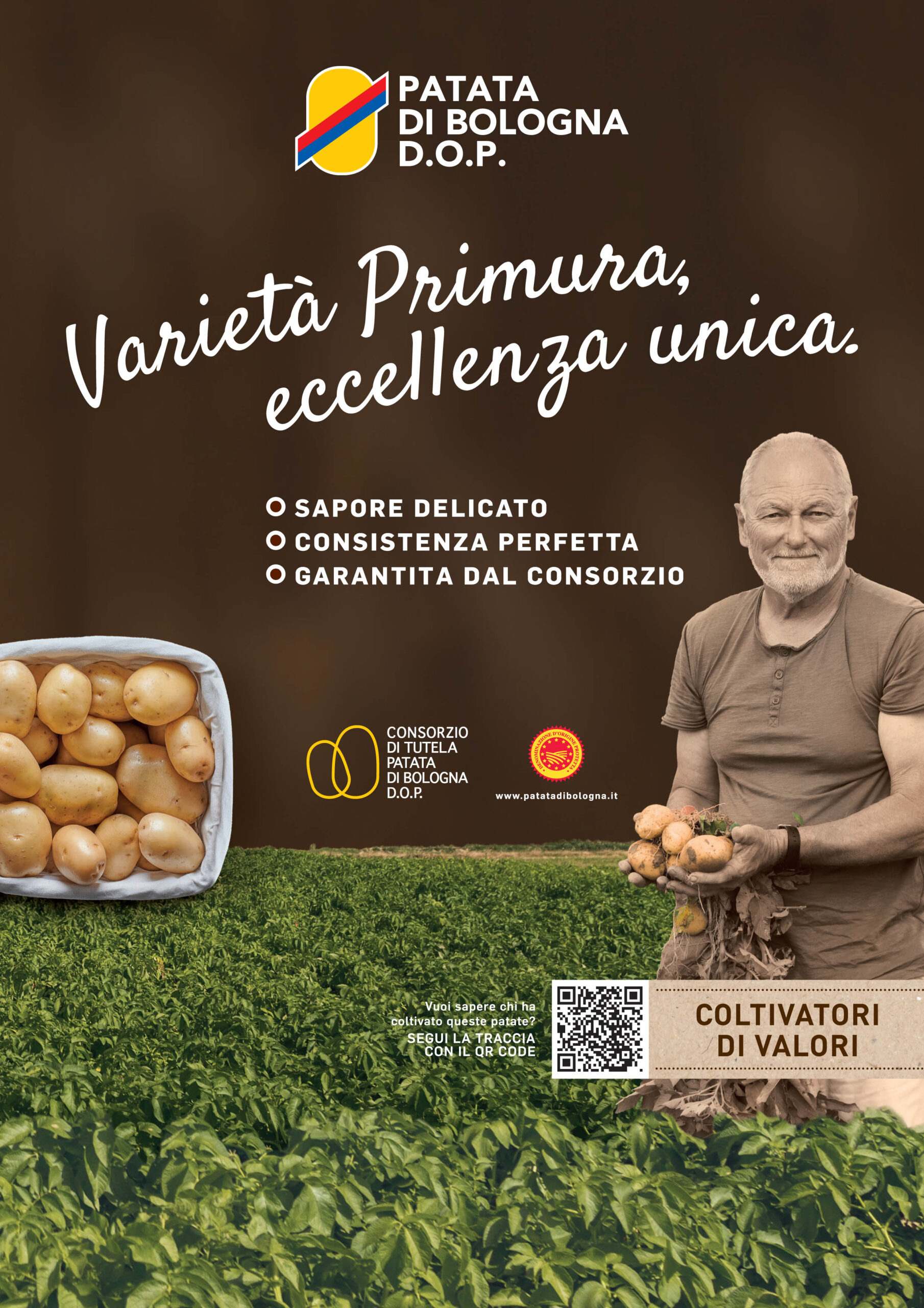 Primura Experience, produttore, consordio e distributore insieme per il territorio