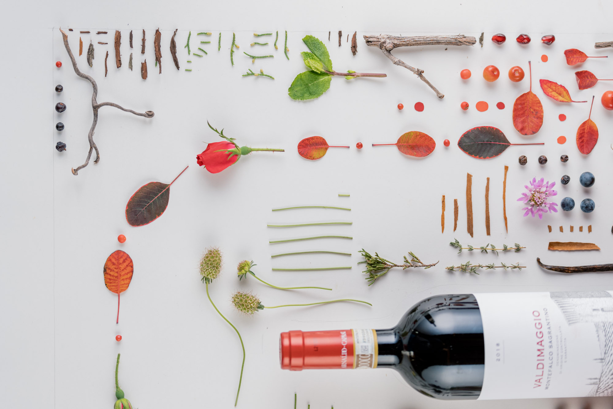 L’esperienza del Sagrantino in un’opera d’arte