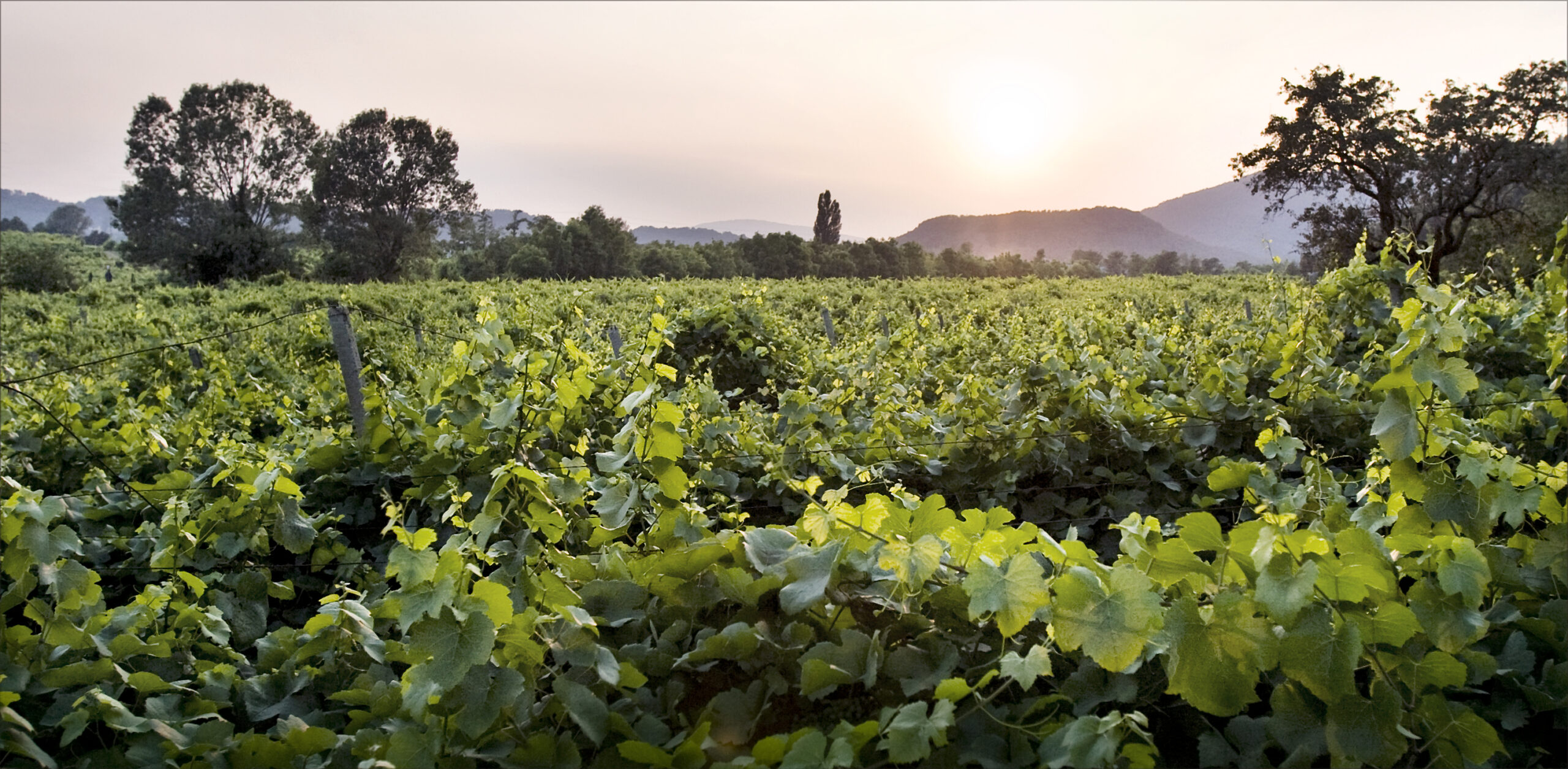 Villa Franciacorta presenta i nuovi Millesimi, con un’Emozione davvero …Unica