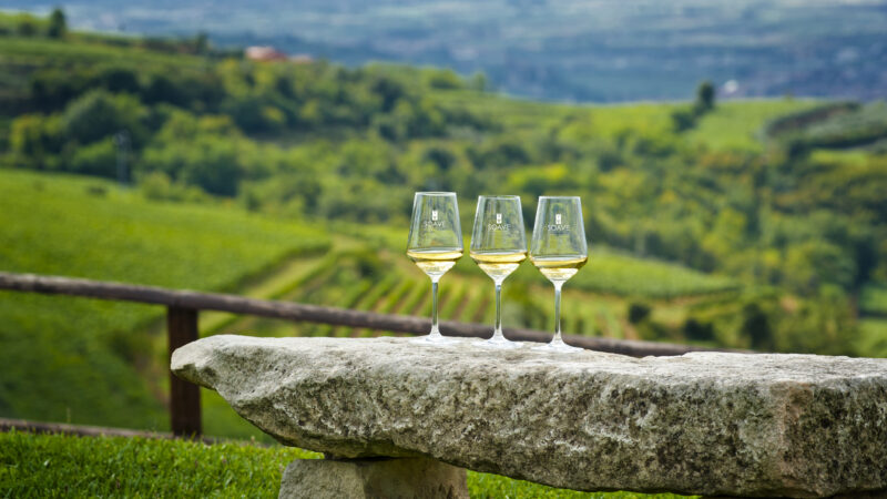 Natura, arte e vulcano: alla scoperta di Soave e Lessini Durello con HEVA – Heroes of Europe: Volcanic Agriculture