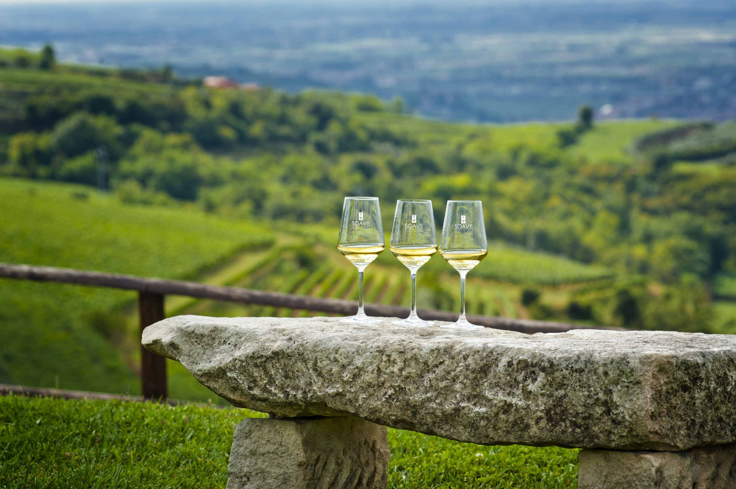 Natura, arte e vulcano: alla scoperta di Soave e Lessini Durello con HEVA – Heroes of Europe: Volcanic Agriculture