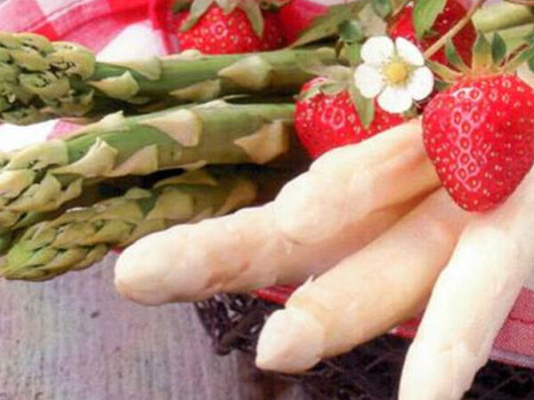 Germogli di Primavera: prosegue la caccia al tesoro del gusto