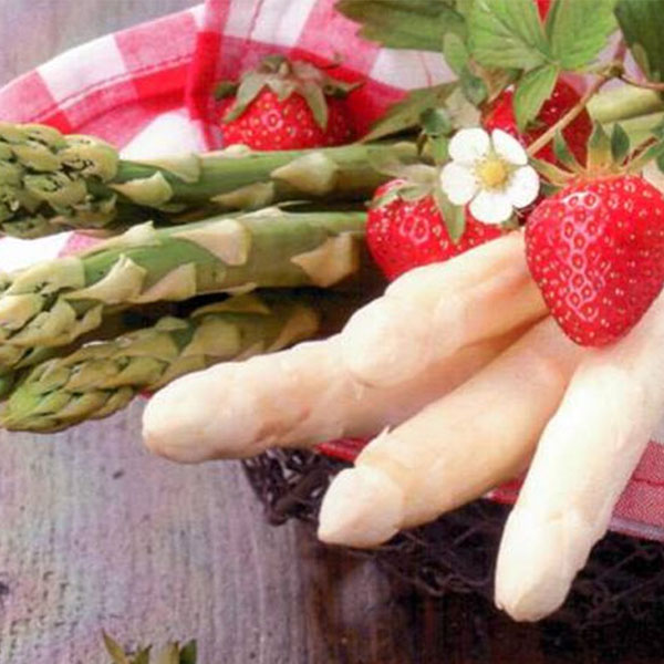 Germogli di Primavera: prosegue la caccia al tesoro del gusto